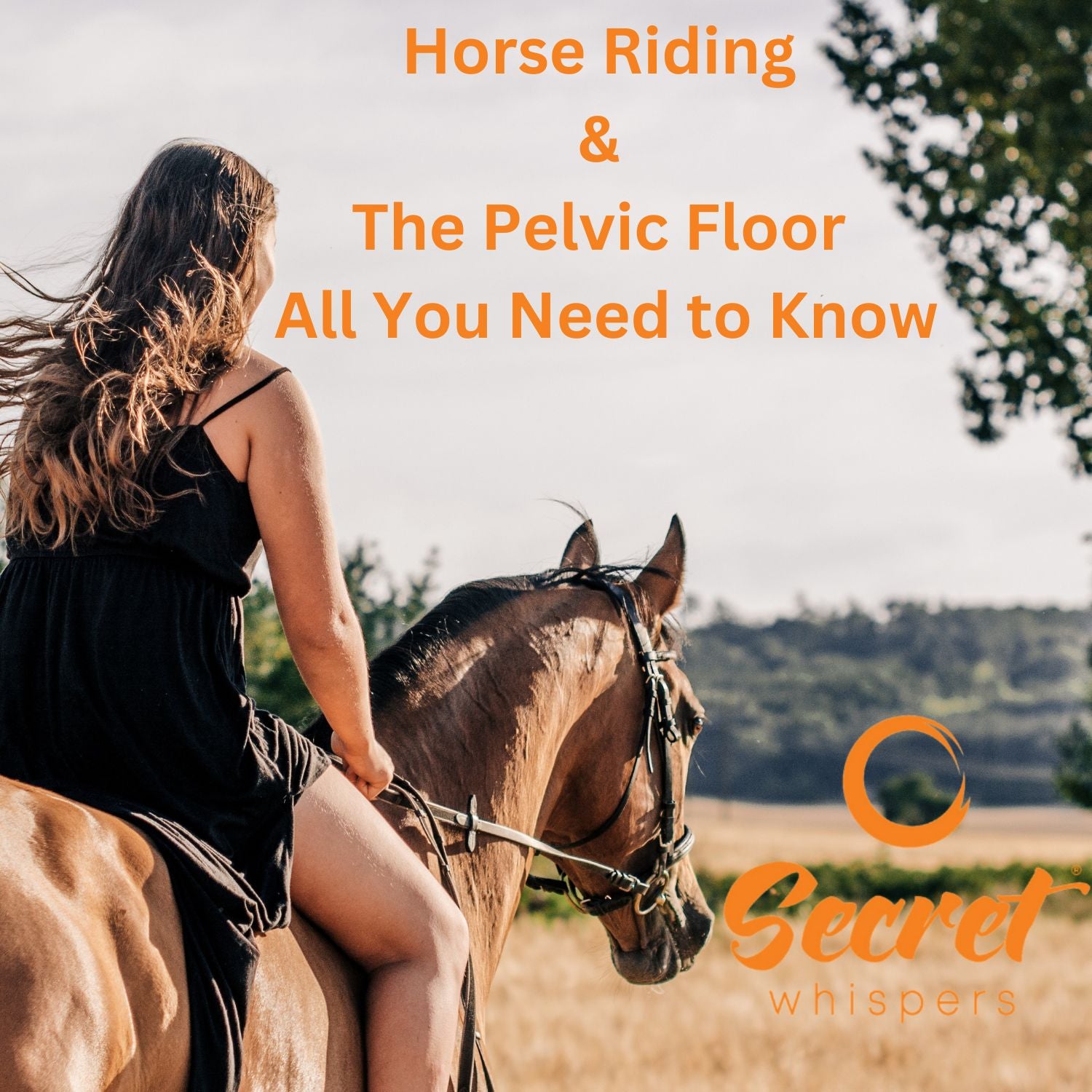 western horse riding quotes